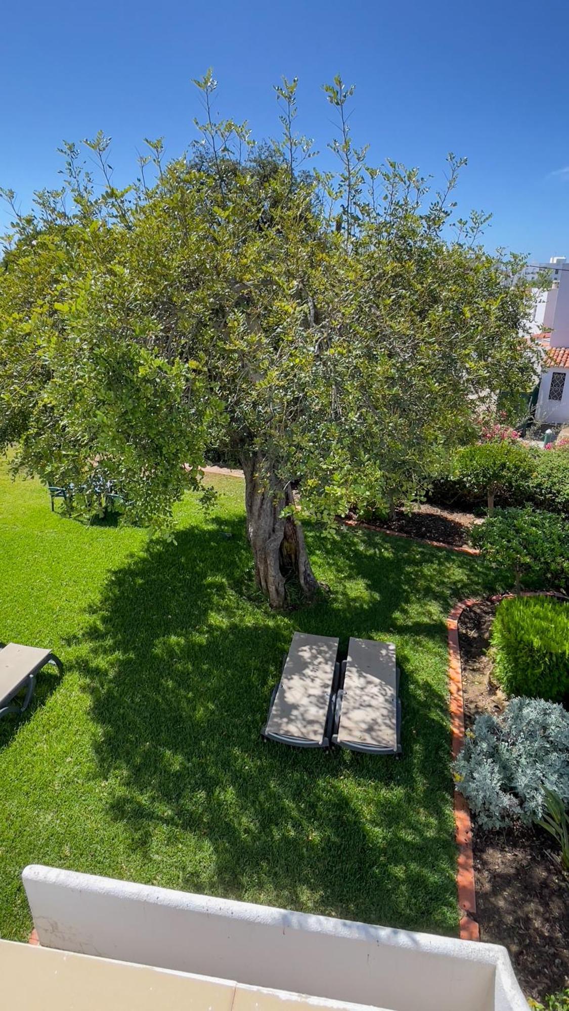 Ferienpark Pino Vilamoura